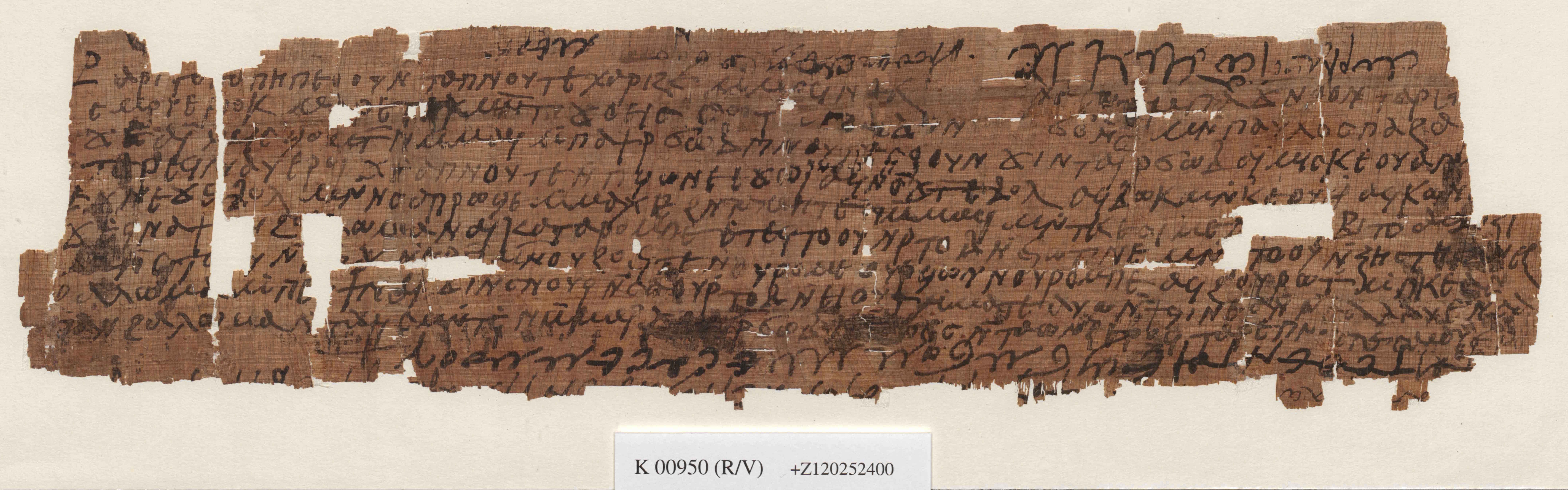 SB Kopt IV 1709 [ÖNB K950r]