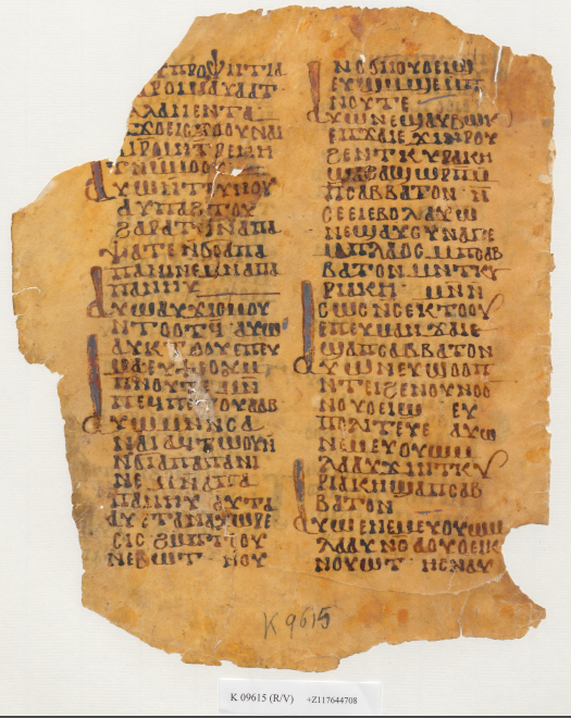 Panine and Paneu - Vienna page (v)