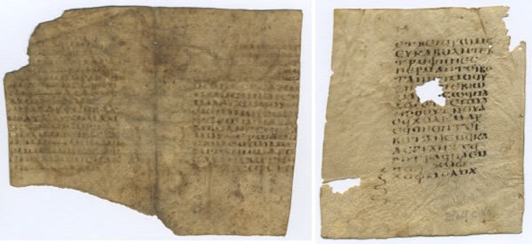 pCarlsberg 500 – medical book pages