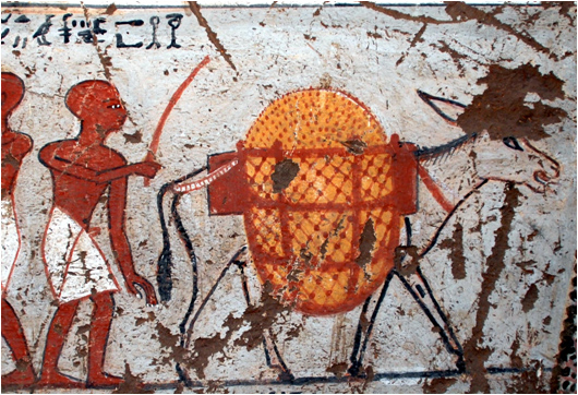 donkey in TT16 (Panehsy and Tarenu in Dra abu el-Naga).jpg