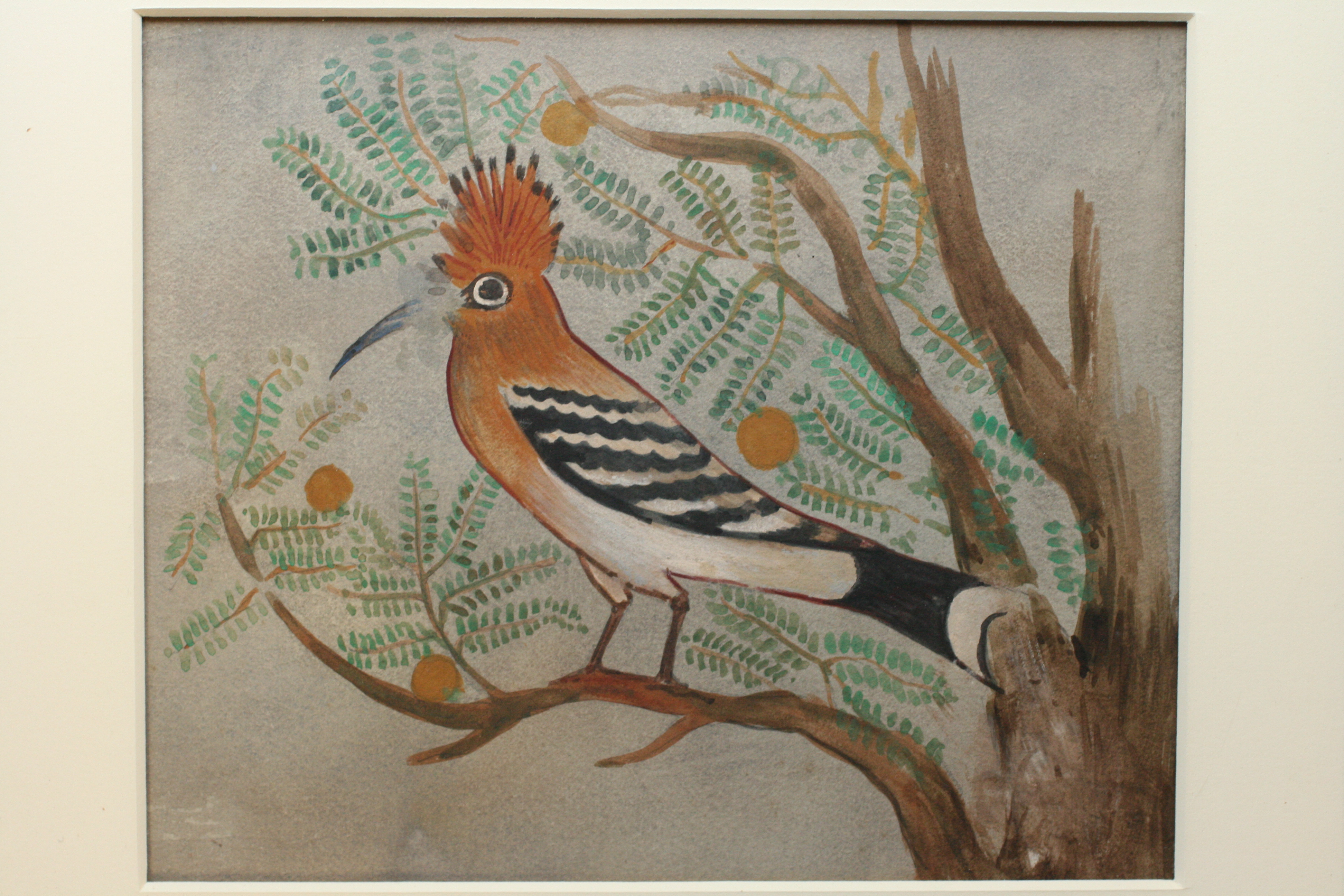 EES Hoopoe - art21.jpg
